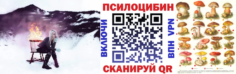 Галлюциногенные грибы GOLDEN TEACHER  где продают наркотики  Омутнинск 